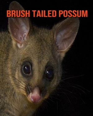 Brush Tailed Possum: Learn About Brush Tailed Possum and Enjoy Colorful Pictures by Diane Jackson