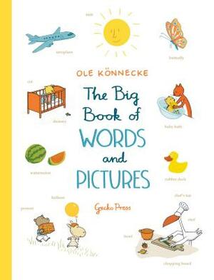 The Big Book of Words and Pictures by Ole Könnecke