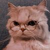 marine_bru's profile picture