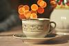 camellia__sinensis's profile picture