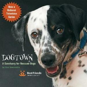 Dogtown: A Sanctuary for Rescued Dogs by Bob Somerville