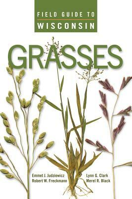 Field Guide to Wisconsin Grasses by Emmet J. Judziewicz