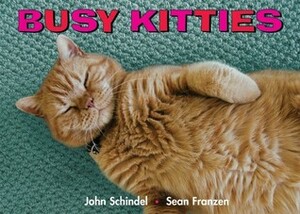 Busy Kitties by John Schindel