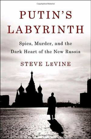 Putin's Labyrinth: Spies, Murder, and the Dark Heart of the New Russia by Steve Levine