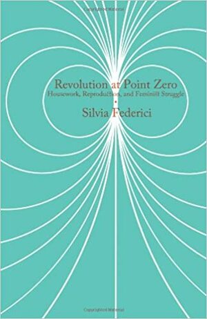 Revolution at Point Zero: Housework, Reproduction, and Feminist Struggle by Silvia Federici