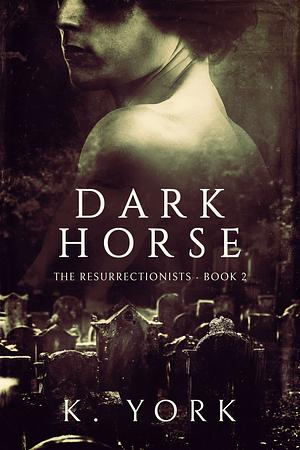 Dark Horse by Kelley York, Karen Meeus