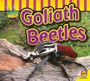 Goliath Beetle by Aaron Carr