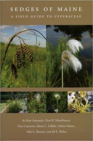 Sedges of Maine: A Field Guide to Cyperaceae by Arthur Haines, Don Cameron, Matt Arsenault, Sally C. Rooney, Alison C. Dibble, Glen H. Mittelhauser, Jill E. Weber