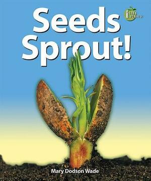Seeds Sprout! by Mary Dodson Wade