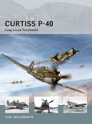 Curtiss P-40 - Long-nosed Tomahawks by Carl Molesworth
