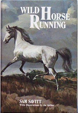 Wild horse running by Sam Savitt, Sam Savitt