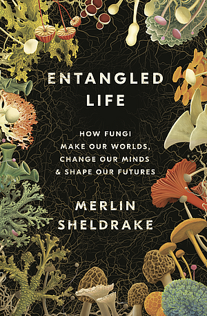Entangled Life: How Fungi Make Our Worlds, Change Our Minds & Shape Our Futures by Merlin Sheldrake
