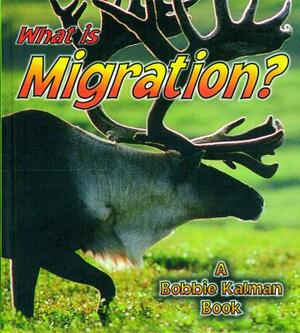 What Is Migration? by Bobbie Crossingham Kalman