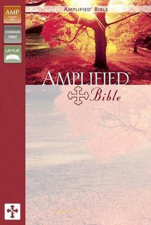 Amplified Bible-AM by Susie Shellenberger, Anonymous