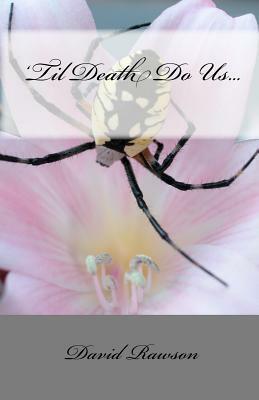 'Til Death Do Us... by David Rawson