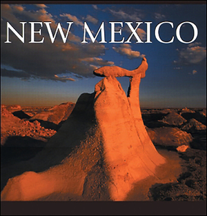 New Mexico by Tanya Lloyd Kyi