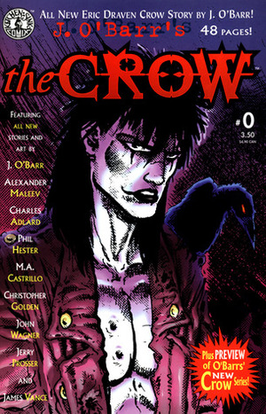 The Crow: A Cycle of Shattered Lives by James O'Barr