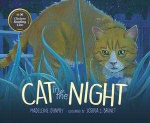 Cat in the Night by Madeleine Dunphy