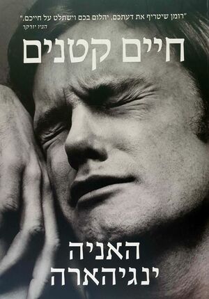 חיים קטנים  by Hanya Yanagihara