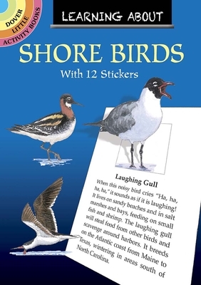 Learning about Shore Birds by Sy Barlowe