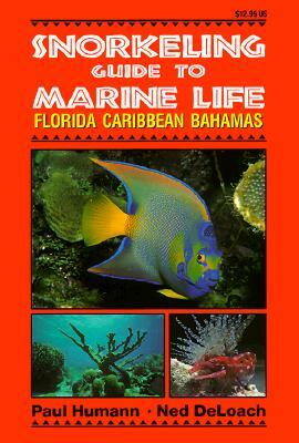 Snorkeling Guide to Marine Life Florida, Caribbean, Bahamas by Ned Deloach, Paul Humann