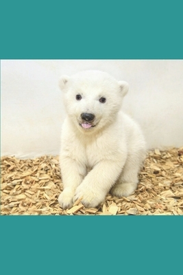 Baby Polar by Happy Paw Publishing