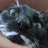 feder's profile picture