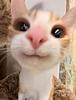 coldsoba0's profile picture