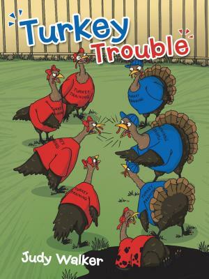 Turkey Trouble by Judy Walker