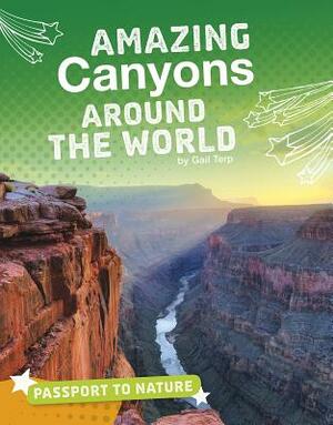 Amazing Canyons Around the World by Gail Terp