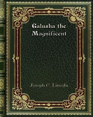 Galusha the Magnificent by Joseph C. Lincoln