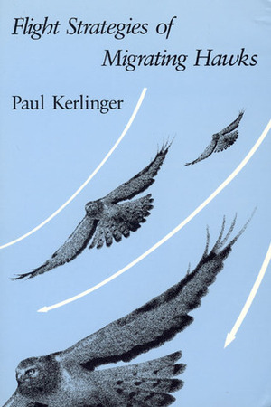 Flight Strategies of Migrating Hawks by Paul Kerlinger