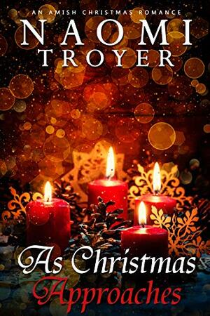 As Christmas Approaches by Naomi Troyer