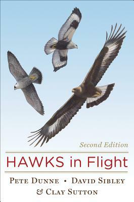 Hawks in Flight by Pete Dunne, David Sibley