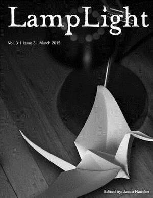 LampLight - Volume 3 Issue 3 by Kristi DeMeester, John Boden, Damien Angelica Walters