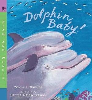 Dolphin Baby!: Read and Wonder by Nicola Davies, Brita Granström