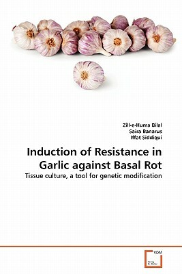 Induction of Resistance in Garlic Against Basal Rot by Saira Banarus, Iffat Siddiqui, Zill-E-Huma Bilal