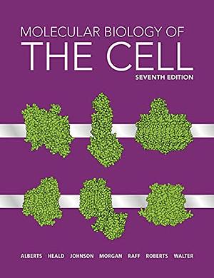 Molecular Biology of the Cell by Bruce Alberts