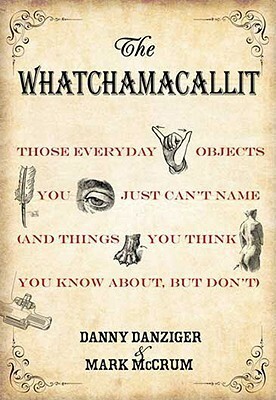 The Whatchamacallit: Those Everyday Objects You Just Can't Name (And Things You Think You Know About, but Don't) by Mark McCrum, Danny Danziger