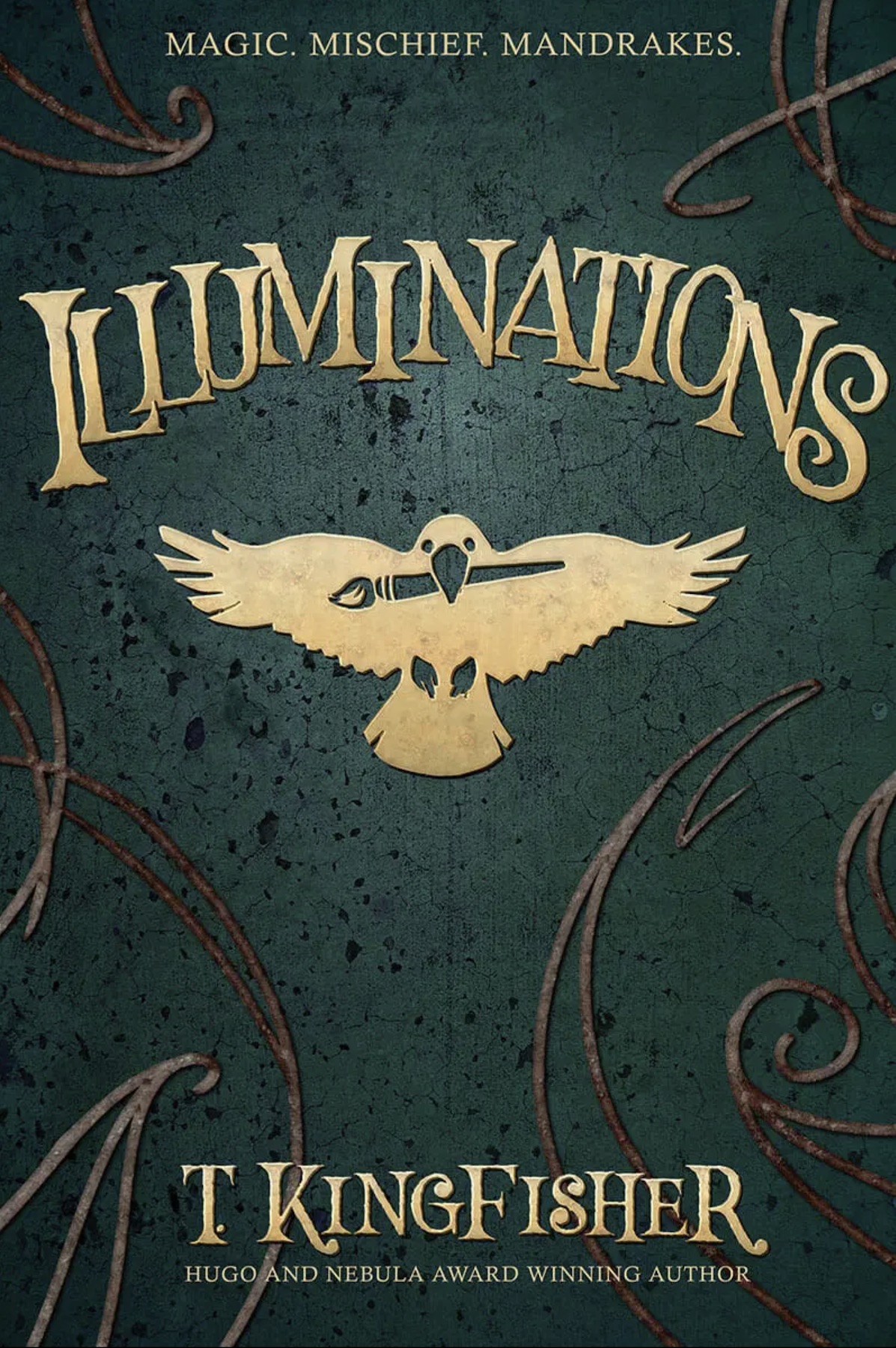 Illuminations by T. Kingfisher The StoryGraph