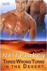 Three Wrong Turns in the Desert by Neil S. Plakcy