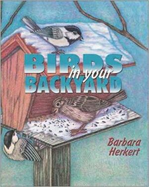Birds in Your Backyard by Barbara Herkert