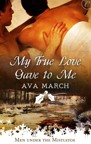 My True Love Gave to Me by Ava March