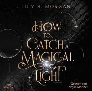 How To Catch A Magical Light by Lily S. Morgan