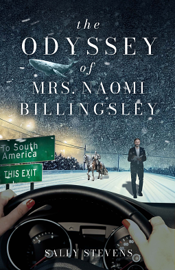 The Odyssey of Mrs. Naomi Billingsley by Sally Stevens