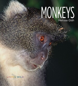 Monkeys by Melissa Gish