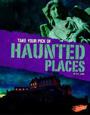 Take Your Pick of Haunted Places by G. G. Lake