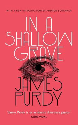 In a Shallow Grave (Valancourt 20th Century Classics) by James Purdy