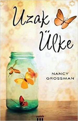 Uzak Ülke by Nancy Grossman