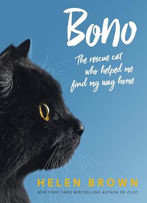 Bono: the rescue cat who helped me find my way home by Helen Brown